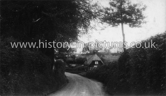 The Village, Lt Hallingbury, essex. c.1920's